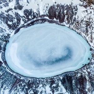 Trazzkusz Wilddelver