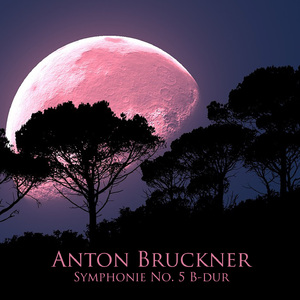 Symphonie No. 5 in B-Flat Major, WAB 105:IV. Finale: Adagio - Allegro moderato