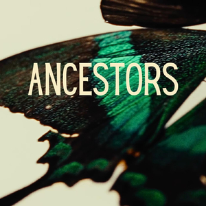 Ancestors