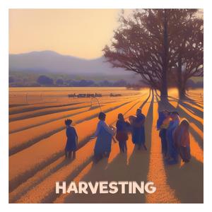 Harvesting