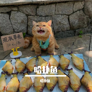 天若有情1.26