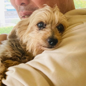 黒いボタンが３つ