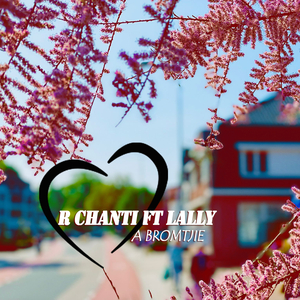 BROMTJIE (feat. Lally)