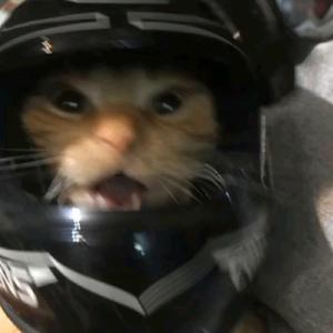 Never Leave You Lonely