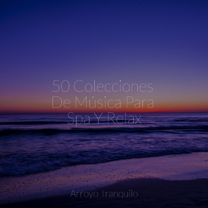 Corrientes Torrenciales