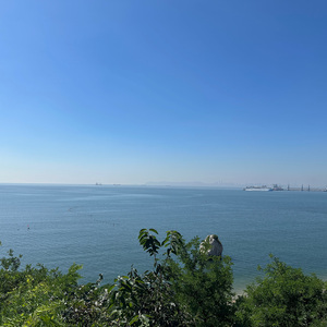 我愿意平凡的陪在你身旁