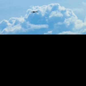 Treasured (memories)