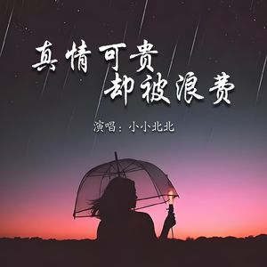 真情可贵却被浪费