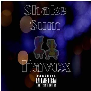 Shake Sum