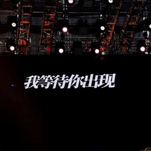 感谢你曾经来过（翻自：周思涵/Ayo97）