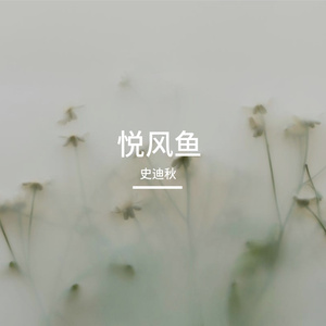 悦风鱼