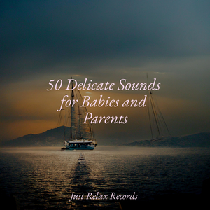 Tranquil Veil of Quiet