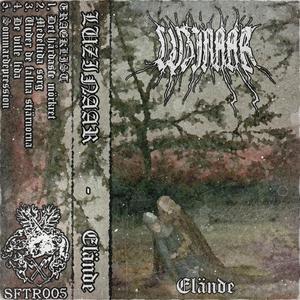 Under de fallna stjärnorna