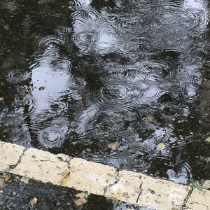 雨爱