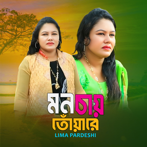 মন চায় তোয়ারে