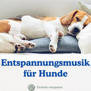 Entspannungsmusik für Hunde – Wälzen in den Wolken
