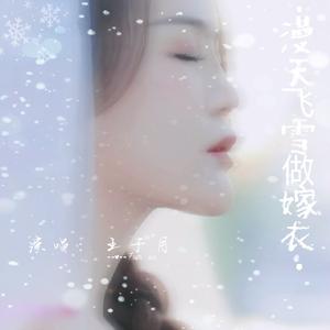 漫天飞雪做嫁衣