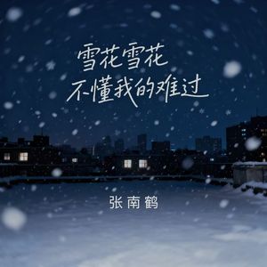 雪花雪花不懂我的难过