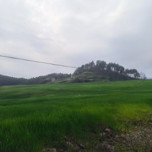 1. 心跳破晓
2. 雨夜邮差
3. 折纸信号
4. 窗台偷光
5. 发酵想念