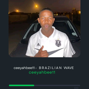 B R A Z I L I A N W A V E