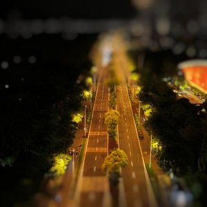 夜风轻拂