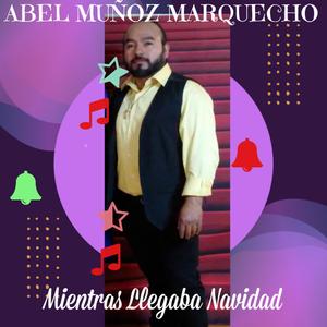 Mientras llegaba Navidad
