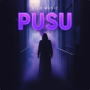 Pusu
