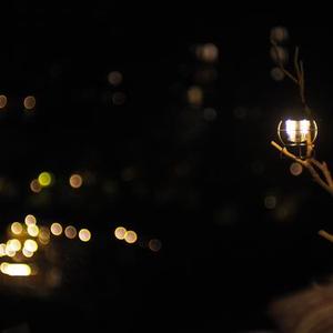 想念拟人化 (Cover 孟慧圆)