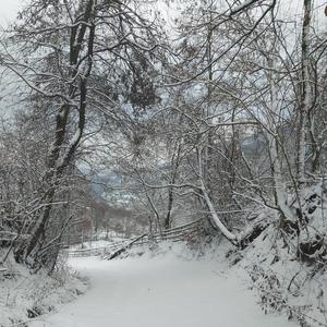 Nachttrein