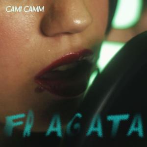 FRAGATA