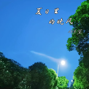 夏日里的晚风