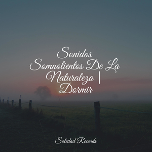 Rapsodia De Día Lluvioso