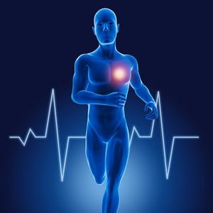 Circulation Harmonieuse