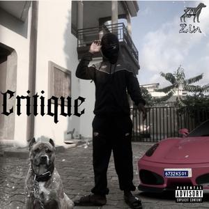 Critique
