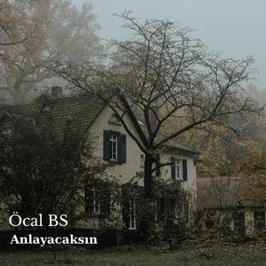 Anlayacaksın