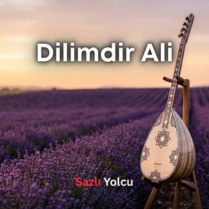 Dilimdir Ali, İstemem Alemde Gayrı Meyvayı
