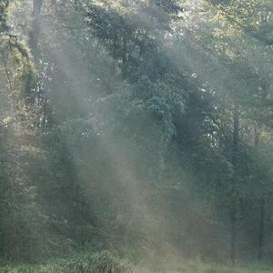 父亲写的散文诗