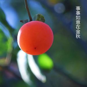 事事如意在金秋 伴奏