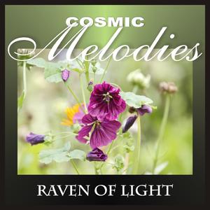 Reflections of the Stars