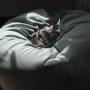 30啊（原唱：陈嘉桦）