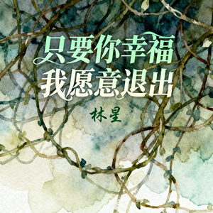 只要你幸福我愿意退出