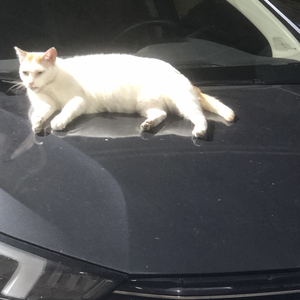 interlude It was all your fault  伴奏