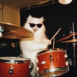 The Echoes in the Phonograph