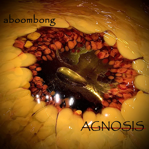 Agnosis