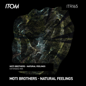 Natural Feelings (Extended Mix)