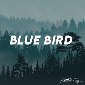 Blue Bird