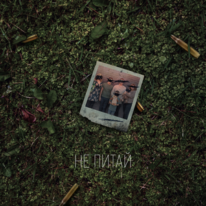 НЕ ПИТАЙ