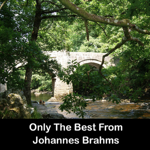 Johannes Brahms -  16 Waltzes, Op.39 - No.1 in B