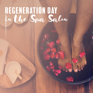 Secret of Night Forest