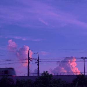 妈妈的话(热播版)